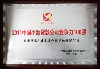 2011中國小額貸款公司競爭力100強